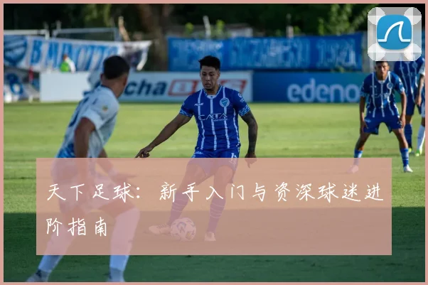 天下足球：新手入门与资深球迷进阶指南