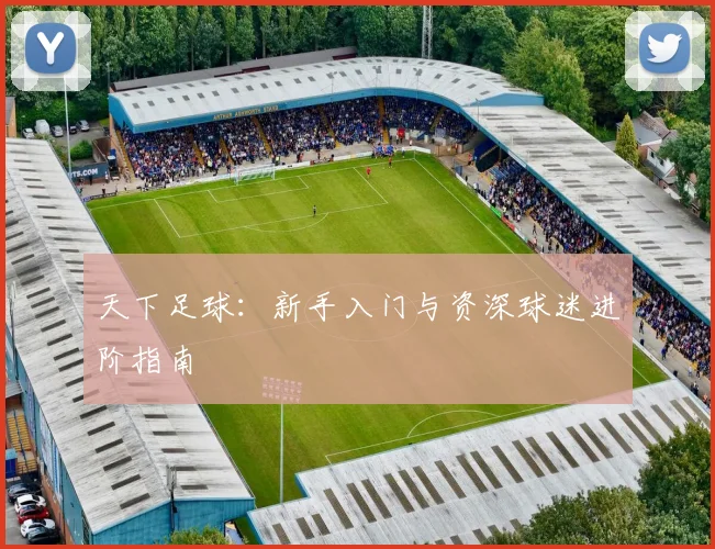 天下足球：新手入门与资深球迷进阶指南